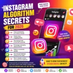 Instagram Algorithm Secrets